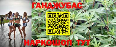 стафф Гусев