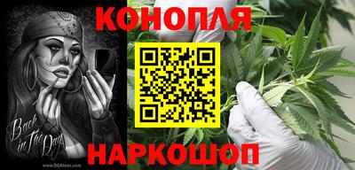 стафф Гусев