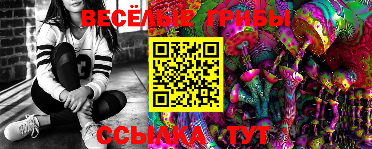 Галлюциногенные грибы Psilocybe  Псилоцибиновые грибы мухоморы  Надым  Вход с VPN 